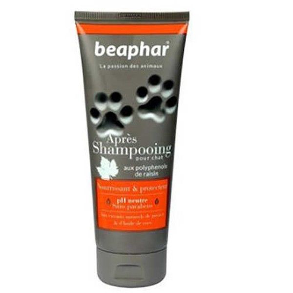 Beaphar Premium Hindistan Cevizi Yağı Özlü Kedi Şampuanı 200 ml