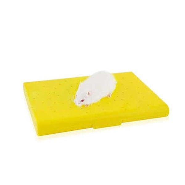 EuroGold Carno Hamster Yatağı Soğutucu Buz Torbalı 14x10x1cm