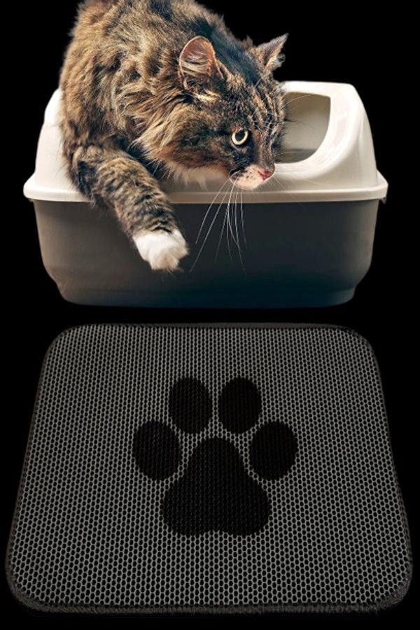 Kedi Kumu Paspası Gri Elekli Tuvalet Önü Paspası