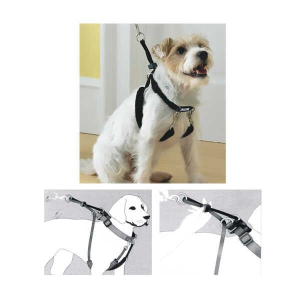Pawise Dog Training M (1"x16-24") Eğitim Tasması