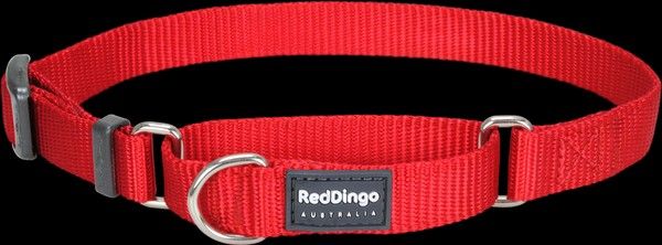 Red Dingo Klasik Kırmızı Boyun Eğitim Tasması L 25m 41-63 cm
