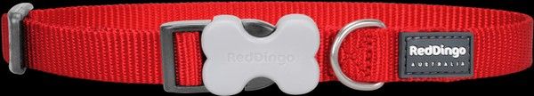 Red Dingo Klasik Kırmızı Köpek Boyun Tasması 12mm 20-32 cm