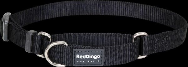Red Dingo Klasik Siyah Boyun Eğitim Tasması 25mm 41-63 cm
