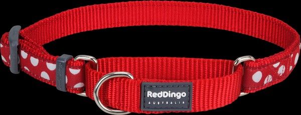 Reddingo Kırmızı Uzerine Beyaz Benekli Boyun Eğitim Tasması L 25mm 41-63 cm