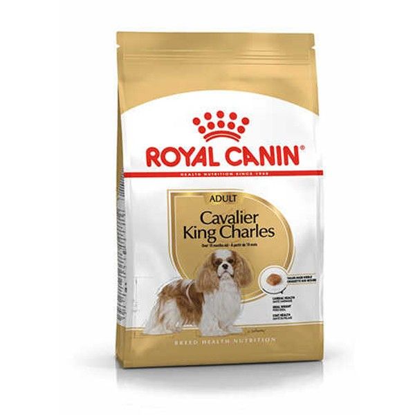 Royal Canin Cavalier King Charles Yetişkin Köpek Maması 1,5 Kg