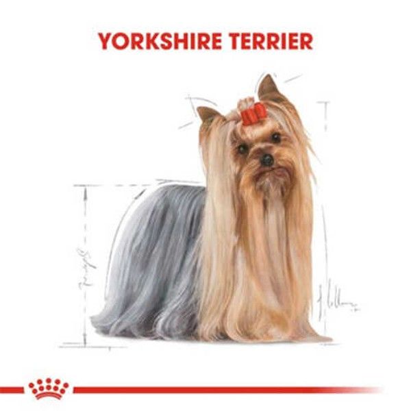 Royal Canin Yorkshire Terrier Adult Pouch Köpek Maması 85 Gr