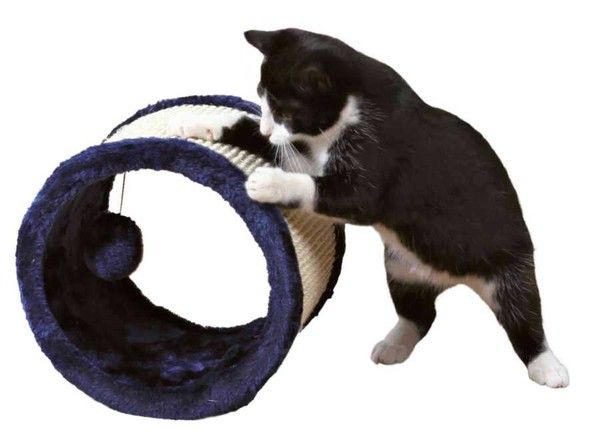 Trixie Kedi Tırmalama Tahtası ve Oyuncağı   ø23x20cm  Mavi