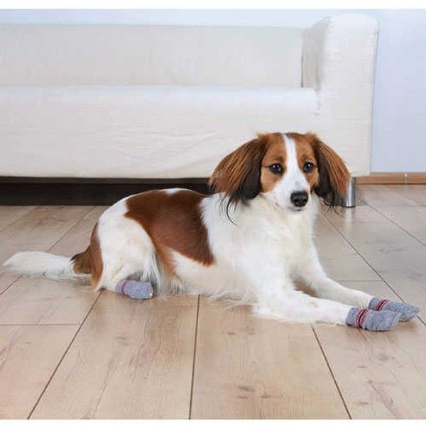 Trixie Köpek Çorabı S-M Border Collie